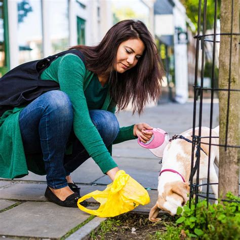 Dog poop clean up. Things To Know About Dog poop clean up. 